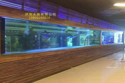 上海 西郊 12米鱼缸