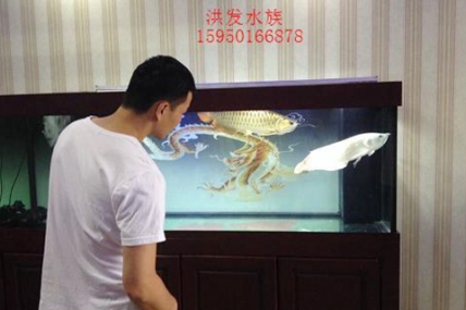 紫竹路聚业典当行 杨总办公室 鱼缸和龙鱼