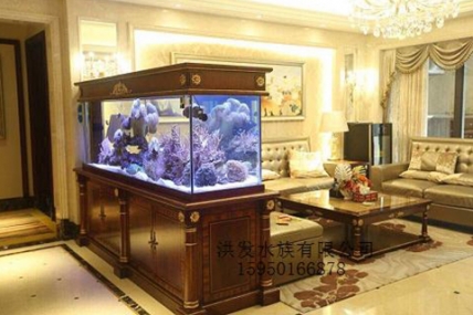 森林半岛  闫总家