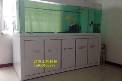 江南明珠苑 金总家