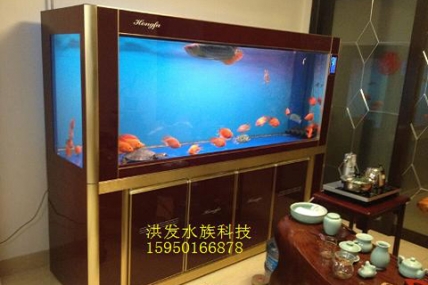 金陵花园陆总家