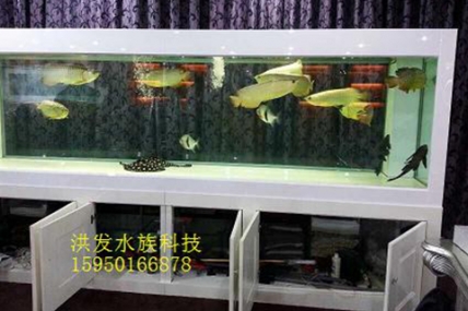 李园新村别墅区王总家