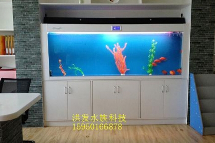 野马渡长颈鹿英语培训