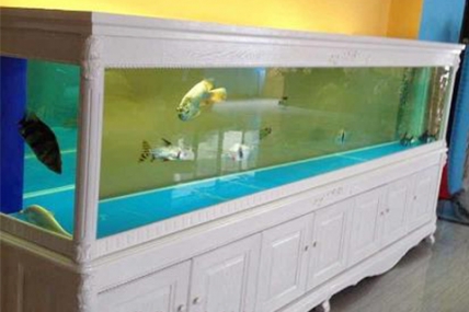 苏州丽华教育欧式实木鱼缸