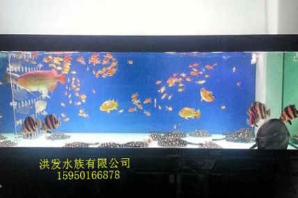 苏州吴中纪总家