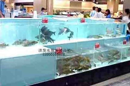 昆山创意时尚超市-海鲜缸