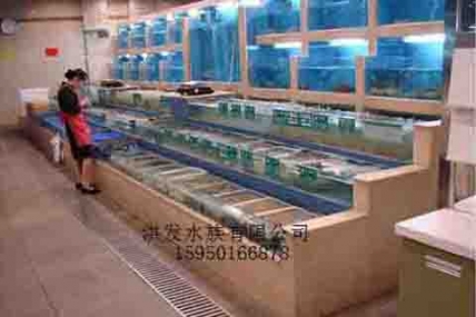 苏州龙城酒家-海鲜缸