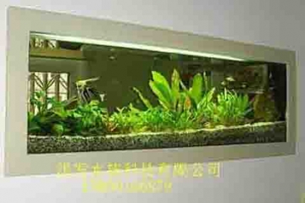 富贵花园—钱老板家