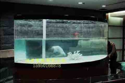 利得国际- 王老板公司