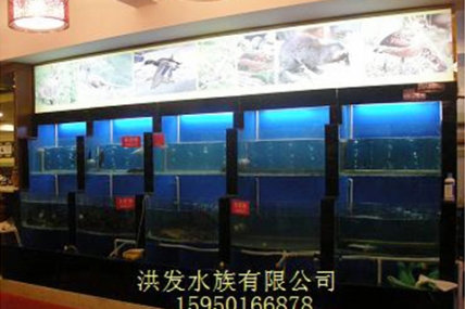 映山红酒店-海鲜缸