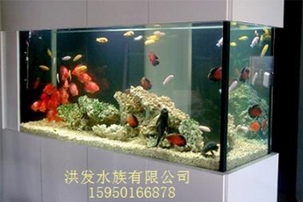 中航城小区 李老板家