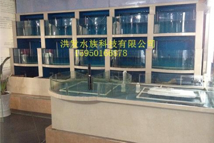 北门路优秀酒店