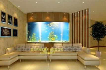 森林半岛-陆总家