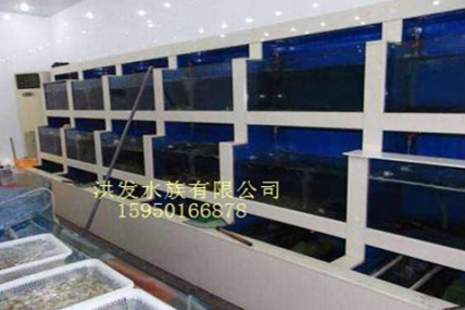 博昆酒店-海鲜缸