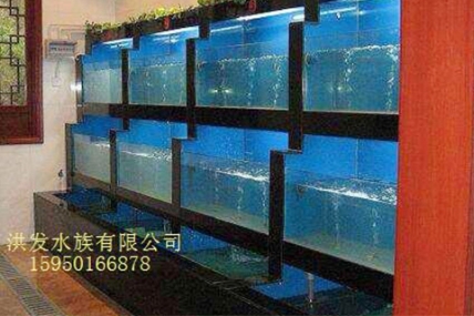 汾湖蔡记小菜-海鲜缸