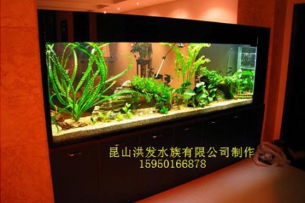 昆玉九里-闫总家