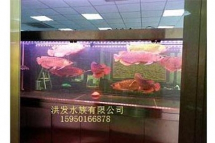 上海松江里水海岸《于总会所》